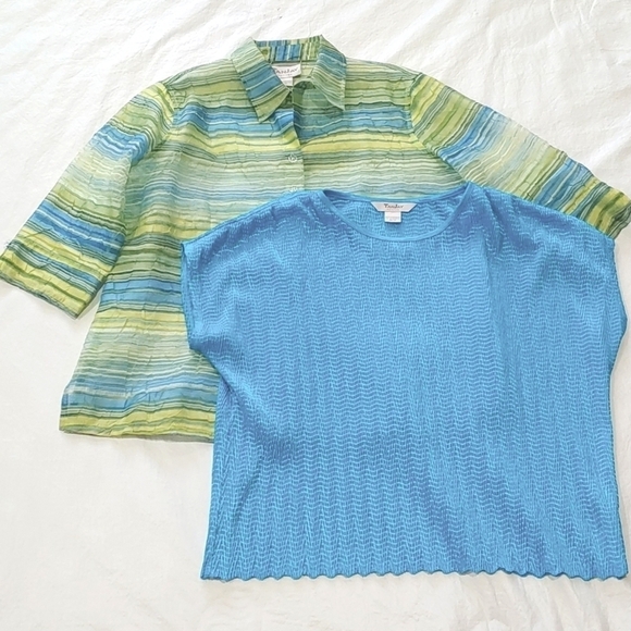 Tanjay 2 Piece Blue Green Stripe 3/4 Sleeve Semi Sheer Blouse Set Size 12P - Picture 6 of 6